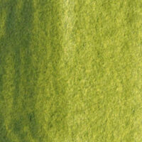 White Nights Olive Green.